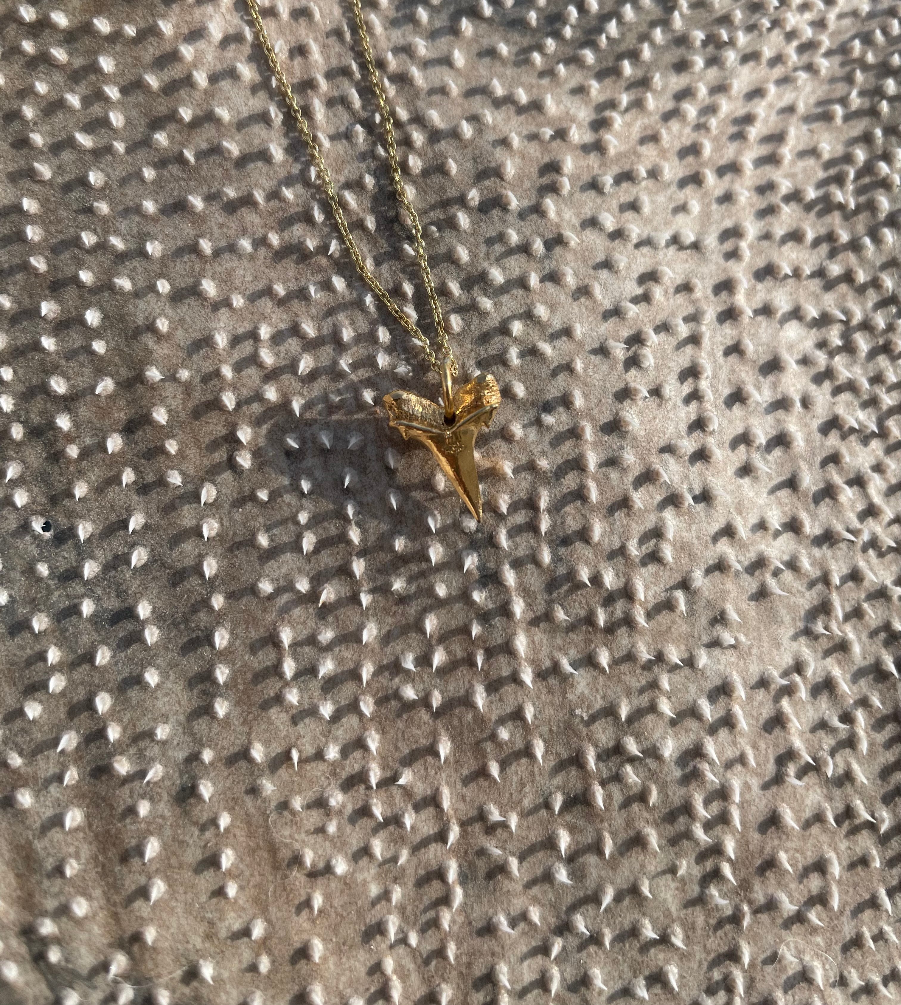 Shark Tooth NECKLACE