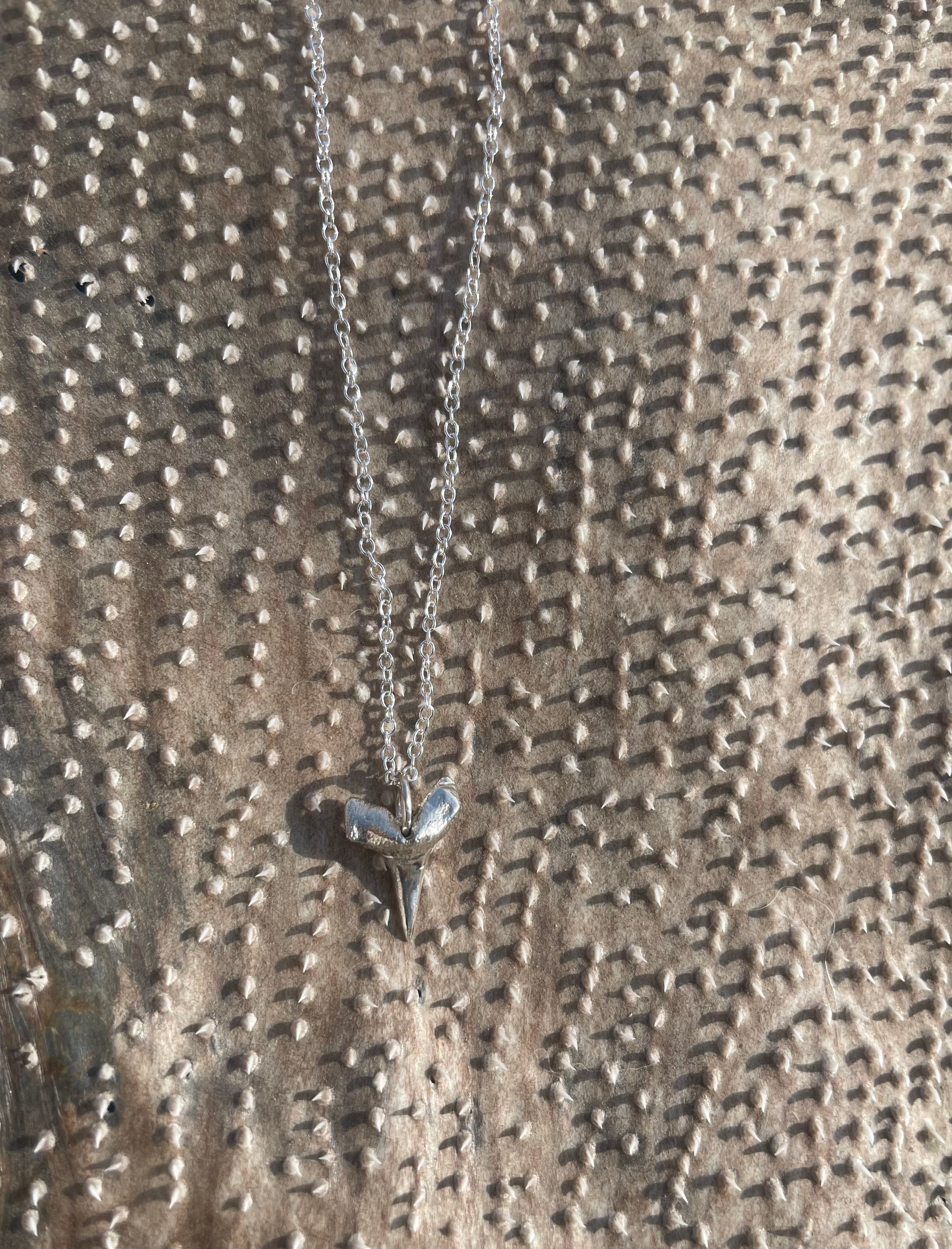 Shark Tooth NECKLACE
