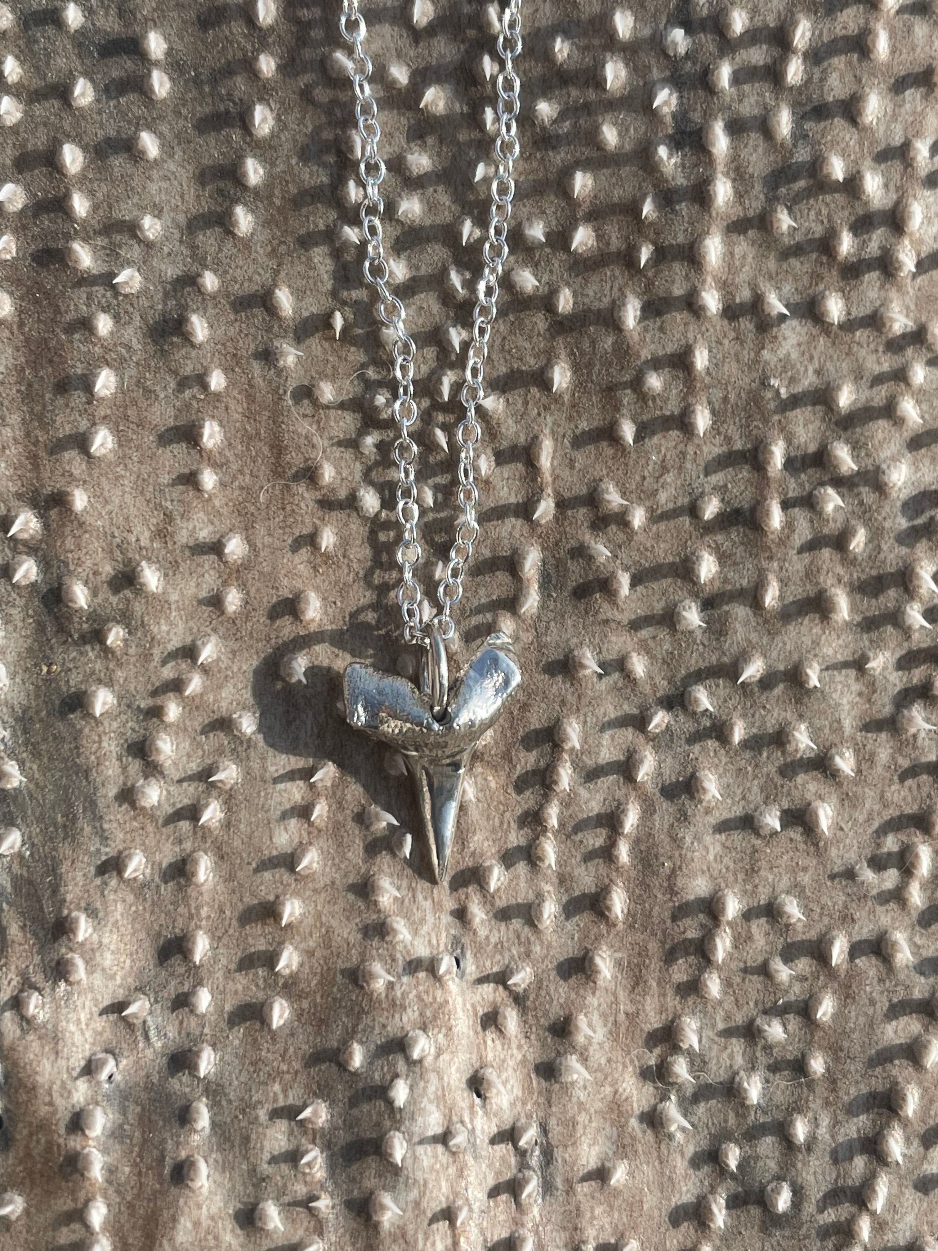 Shark Tooth NECKLACE