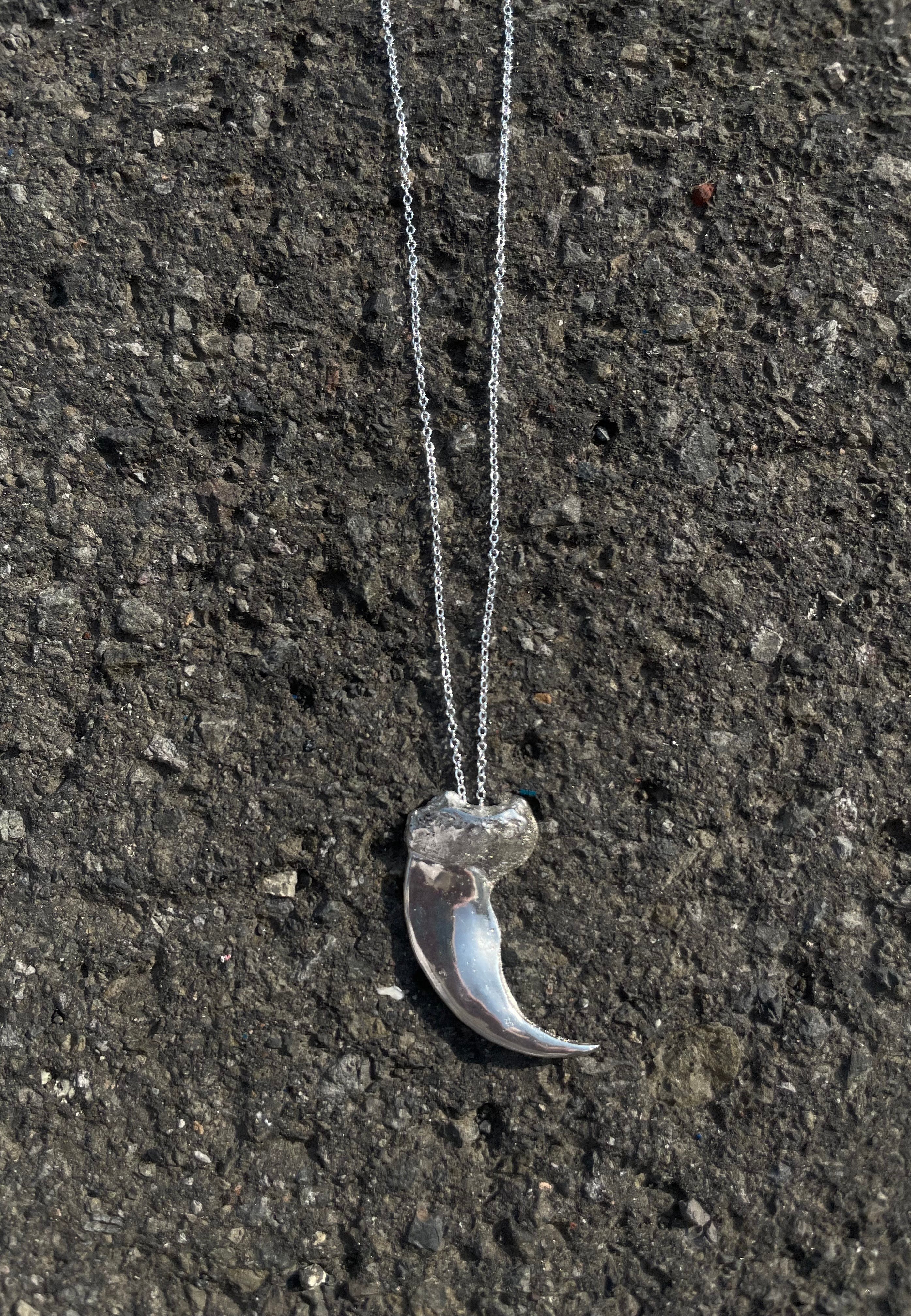 Polarbear Claw NECKLACE