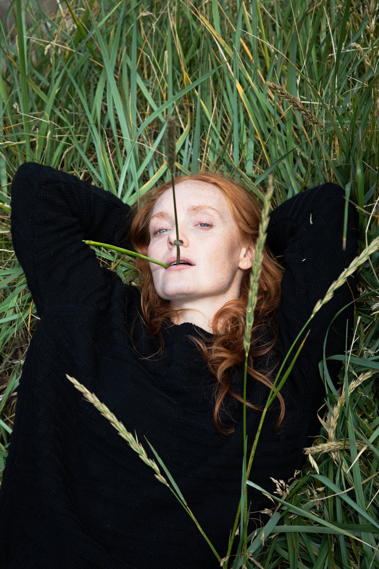 James Cook - Lónblá