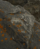 SIRKA Studs Earrings