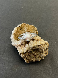 Pearl Ring 1