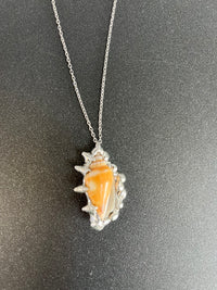 Conch Shell Necklace