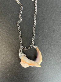 Twisted Shell Necklace