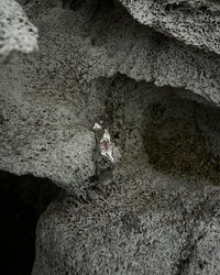 JÖKULL ring- 2x tourmaline